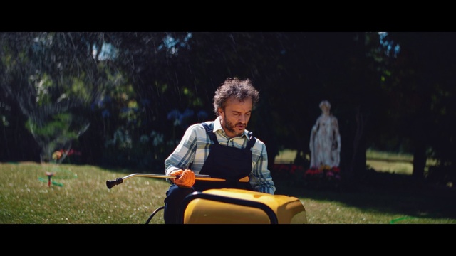 Video Reference: Plant, Flash photography, Tree, Happy, People in nature, Music, Grass, Musician, Leisure, Microphone