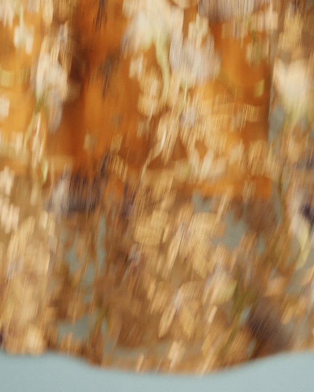 Video Reference: Brown, Amber, Wood, Natural landscape, Twig, Grass, Tints and shades, Pattern, Tree, Sky