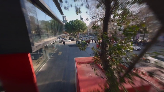 Video Reference: Plant, Sky, Car, Automotive lighting, Leaf, Road surface, Asphalt, Tree, Building, Mode of transport