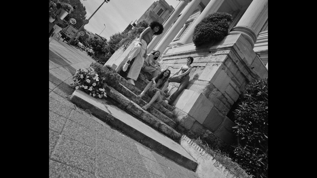 Video Reference: Plant, Black-and-white, Style, Monochrome, Road surface, Monochrome photography, Tints and shades, Asphalt, Motor vehicle, Road