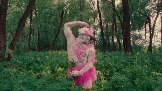 Video Reference: Plant, Hand, Tree, People in nature, Gesture, Toy, Sunlight, Fawn, Grass, Shrub