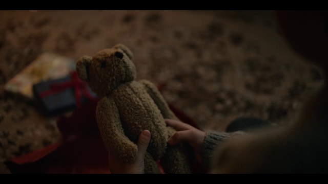 Video Reference: Grey, Fawn, Wood, Terrestrial animal, Toy, Snout, Tail, Flash photography, Stuffed toy, Comfort