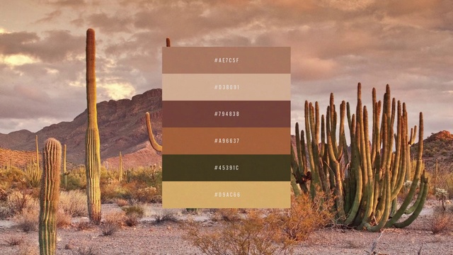 Video Reference: Cloud, Sky, Plant, Plant community, Ecoregion, Natural landscape, Wood, Vegetation, Biome, Terrestrial plant