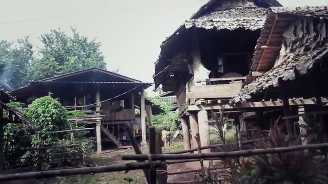 Video Reference: rural, village, wooden houses, stilt house, thatched roof, traditional architecture, trees, vegetation, outdoor, countryside, pathway, rustic, home, settlement