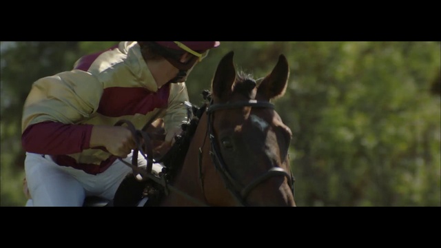 Video Reference: Horse, Working animal, Horse tack, Horse supplies, Bridle, Bit, Rein, Liver, Pack animal, Helmet