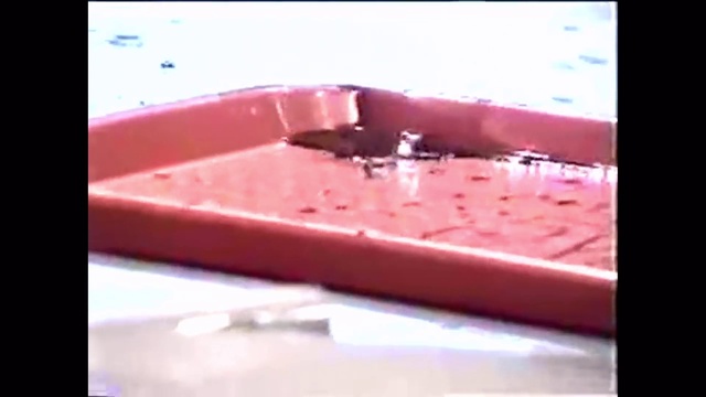 Video Reference: Liquid, Fluid, Bumper, Rectangle, Gas, Wood, Composite material, Tints and shades, Magenta, Automotive exterior