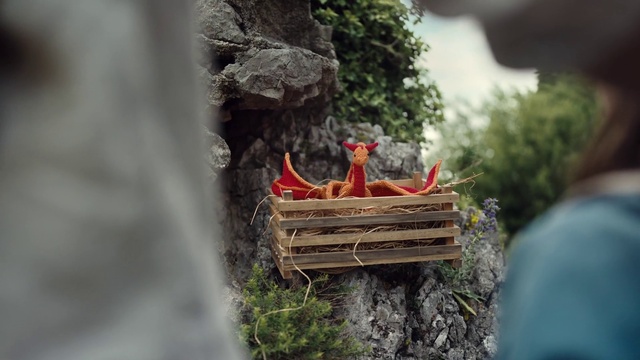Video Reference: Plant, Wood, Branch, Twig, Trunk, Grass, Landscape, Roof, Soil, Plant stem