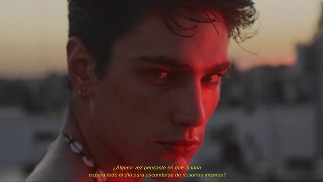 Video Reference: Forehead, Nose, Lip, Eyebrow, Eyelash, Neck, Flash photography, Jaw, Ear, Gesture