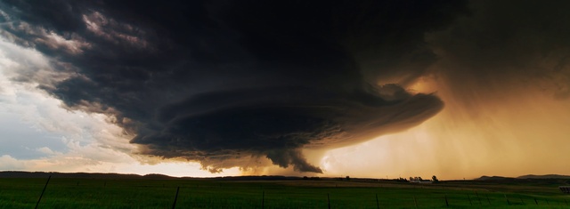 Video Reference: Cloud, Sky, Atmosphere, Plant, Natural landscape, Sunlight, Dusk, Grass, Cumulus, Tree