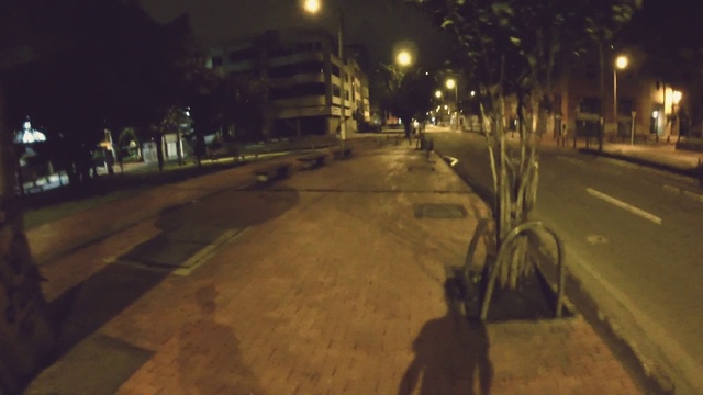 Video Reference: Automotive lighting, Street light, Light, Plant, Road surface, Asphalt, Mode of transport, Thoroughfare, Sidewalk, Tree