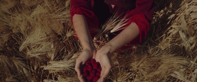 Video Reference: Leg, Dress, Plant, People in nature, Grass, Fawn, Thigh, Nail, Wood, Grass family