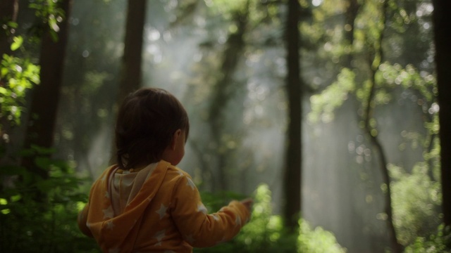 Video Reference: Plant, People in nature, Wood, Standing, Natural landscape, Gesture, Tree, Grass, Terrestrial plant, Happy