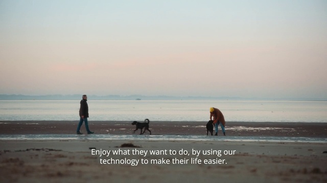 Video Reference: Water, Sky, Dog, Cloud, People on beach, People in nature, Beach, Dusk, Sunlight, Carnivore
