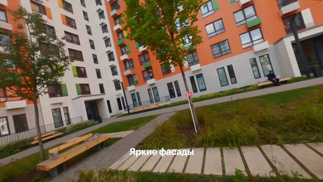 Video Reference: Plant, Window, Property, Building, Tree, Urban design, Road surface, Condominium, Grass, Line