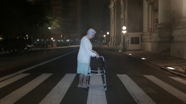 Video Reference: Road surface, Asphalt, Standing, Automotive lighting, Thoroughfare, Sidewalk, Street light, Pedestrian crossing, Road, Zebra crossing