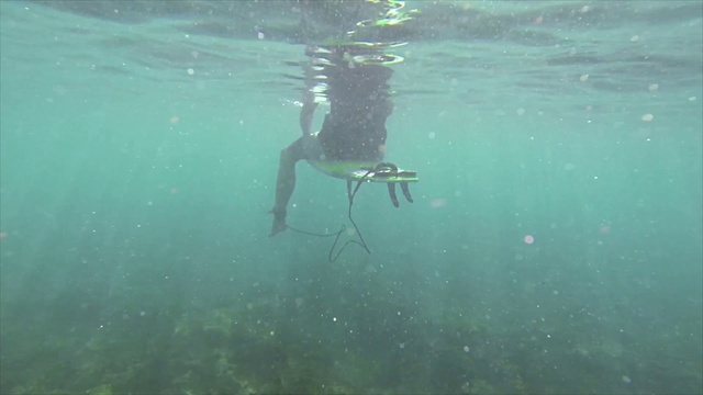 Video Reference: Water, Underwater diving, Diving equipment, Fluid, Diving mask, Lake, Scuba diving, Underwater sports, Underwater, Divemaster