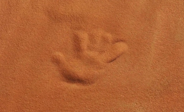 Video Reference: Brown, Wood, Beige, Font, Landscape, Peach, Pattern, Sand, Soil, Rock