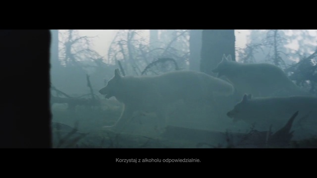 Video Reference: Atmosphere, Carnivore, Tree, Grey, Atmospheric phenomenon, Sky, Fog, Haze, Mist, Darkness