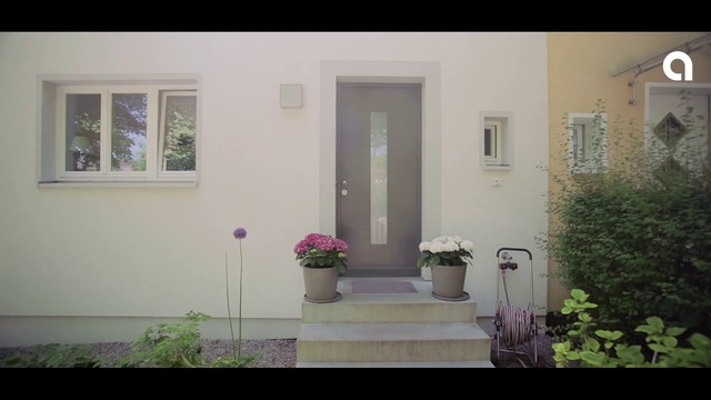 Video Reference: Plant, Property, Window, Building, Flower, Flowerpot, Houseplant, Rectangle, Fixture, Purple