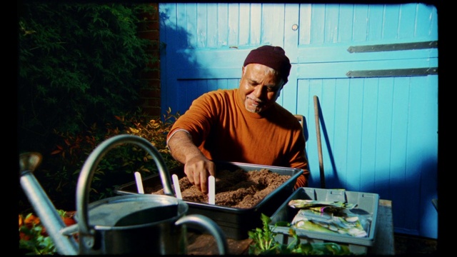 Video Reference: Food, Plant, Blue, Beard, Tableware, Leisure, Cooking, Fun, Cookware and bakeware, T-shirt