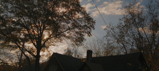 Video Reference: Cloud, Atmosphere, Sky, World, Twig, Tree, Sunlight, Cumulus, Dusk, Rural area