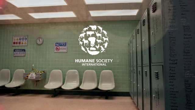 Video Reference: Interior design, Wall, Flooring, Gas, Chair, Font, Automotive design, Ceiling, Event, Luxury vehicle