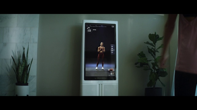 Video Reference: Plant, Output device, Flowerpot, Interior design, Houseplant, Television set, Gadget, Terrestrial plant, Flat panel display, Display device