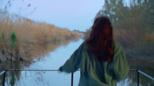 Video Reference: Sky, Plant, People in nature, Natural landscape, Grass, Happy, Grassland, Grass family, Tree, Lake