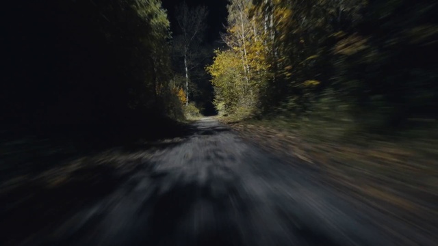 Video Reference: Plant, Road surface, Automotive lighting, Asphalt, Wood, Natural landscape, Road, Grass, Forest, Tree