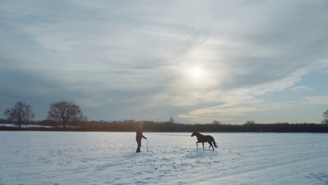 Video Reference: Cloud, Sky, Horse, Water, Natural landscape, Tree, Sunlight, Snow, Atmospheric phenomenon, Freezing