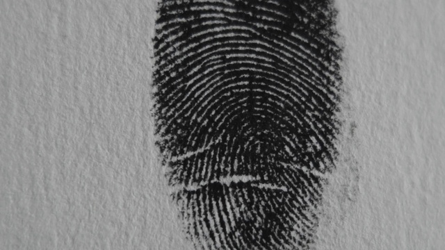 Video Reference: Eyelash, Grey, Art, Font, Wood, Pattern, Monochrome photography, Circle, Metal, Monochrome