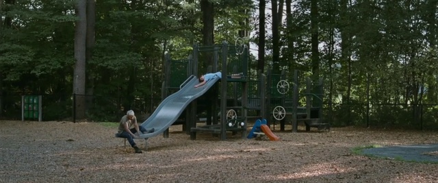 Video Reference: Plant, Tree, Wood, Chute, Leisure, Playground slide, Recreation, Grass, Playground, Landscape