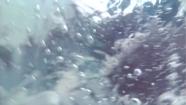 Video Reference: Liquid, Water, Underwater, Freezing, Electric blue, Marine biology, Pattern, Winter, Macro photography, Science