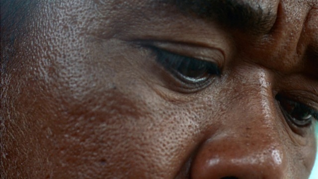 Video Reference: Eyelash, Jaw, Iris, Beard, Wrinkle, Smile, Facial hair, Snout, Selfie, Close-up