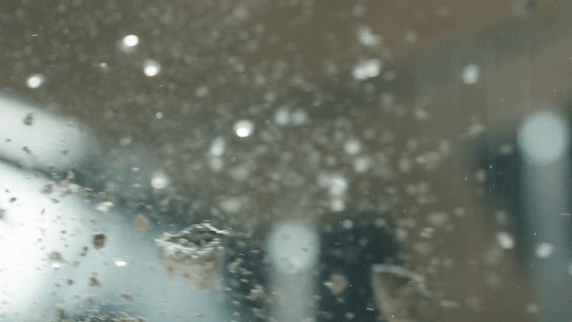 Video Reference: Liquid, Plant, Water, Window, Moisture, Drizzle, Tints and shades, Tree, Precipitation, Drop