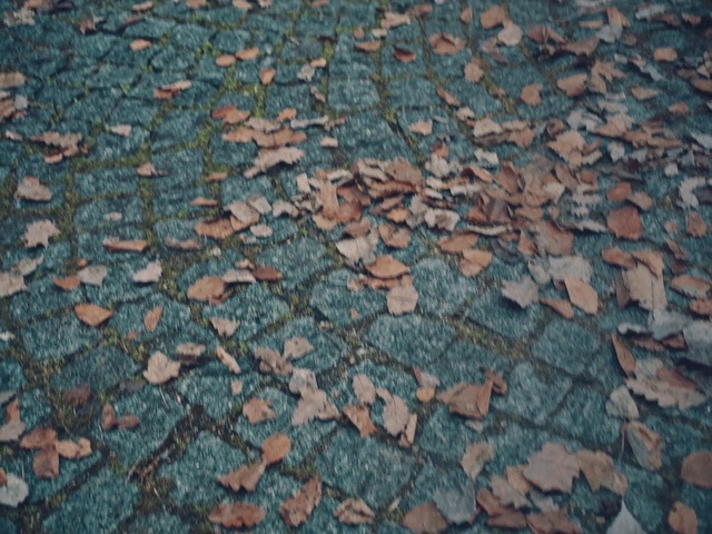 Video Reference: Road surface, Asphalt, Grass, Groundcover, Tints and shades, Pattern, Soil, Roof, Building material, Landscape