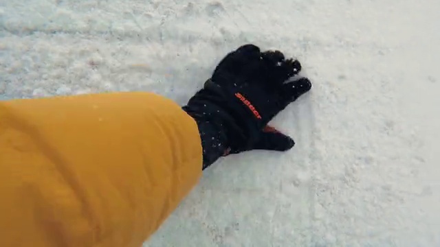 Video Reference: Dog, Glove, Snow, Carnivore, Dog breed, Water, Personal protective equipment, Freezing, Recreation, Sporting Group