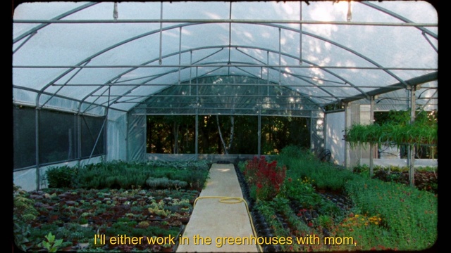 Video Reference: Plant, Building, Greenhouse, Window, Shade, Architecture, Fixture, Biome, Grass, Terrestrial plant