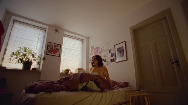 Video Reference: Plant, Comfort, Picture frame, Wood, Door, Houseplant, Window, Floor, Flowerpot, Flooring
