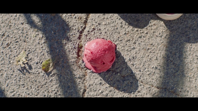 Video Reference: Petal, Road surface, Asphalt, Finger, Tints and shades, Sidewalk, Sand, Concrete, Magenta, Soil