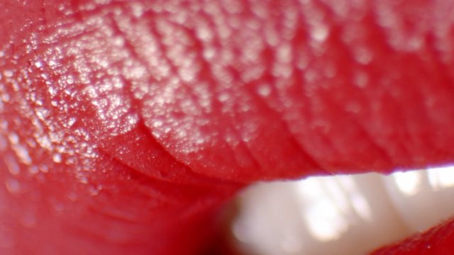 Video Reference: macro, close-up, red, texture, abstract, blurred, surface, organic, detail, white, shallow depth of field