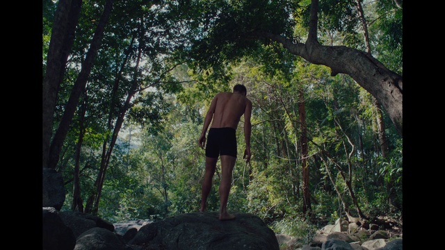 Video Reference: Shorts, Plant, Tree, People in nature, Wood, Trunk, Terrestrial plant, Shade, Leisure, Tints and shades