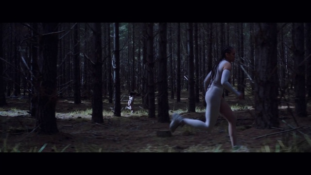 Video Reference: Plant, Tree, People in nature, Flash photography, Wood, Natural landscape, Grass, Midnight, Forest, Trunk