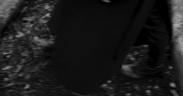 Video Reference: Tints and shades, Whiskers, Wood, Human leg, Foot, Thigh, Elbow, Monochrome photography, Grass, Darkness