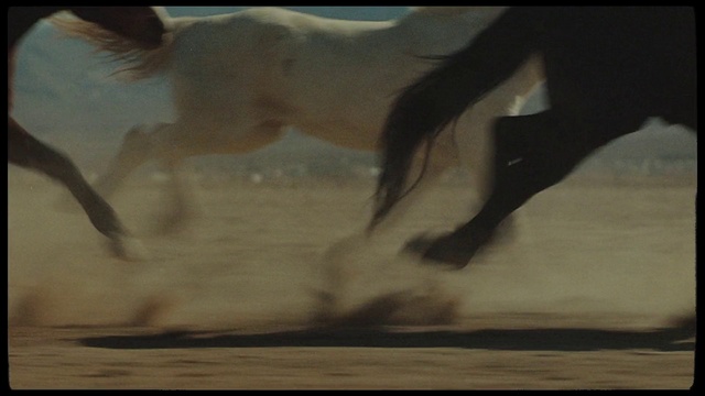 Video Reference: Cloud, Sky, Fawn, Tints and shades, Snout, Wood, Tail, Working animal, Dog breed, Terrestrial animal