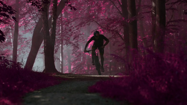 Video Reference: Bicycle, Tire, Plant, Bicycle helmet, Sky, Tree, Wheel, Helmet, People in nature, Bicycle wheel