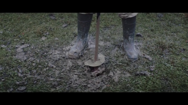 Video Reference: Road surface, Asphalt, Wood, Flooring, Terrestrial plant, Human leg, Grass, Trunk, Soil, Thigh