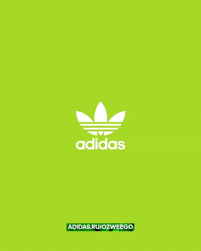 Video Reference: Font, Rectangle, Operating system, Terrestrial plant, Logo, Brand, Graphics, Grass, Symbol, Graphic design