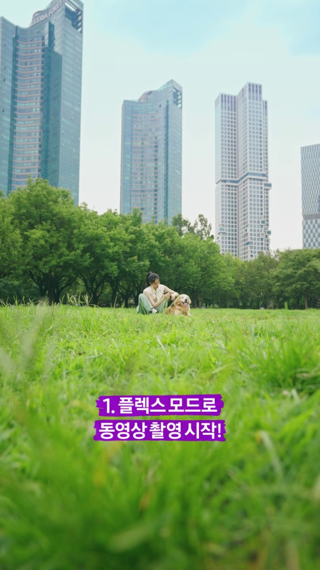 Video Reference: Plant, Skyscraper, Sky, Building, Green, Natural landscape, Tree, People in nature, Tower block, Land lot