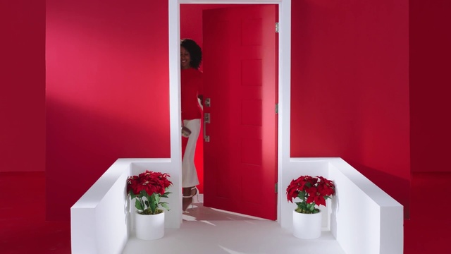 Video Reference: Flower, Plant, Property, Flowerpot, Houseplant, Window, Interior design, Orange, Lighting, Pink